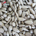 Exporting High Quality and Best Price Sunflower Seed Kernel